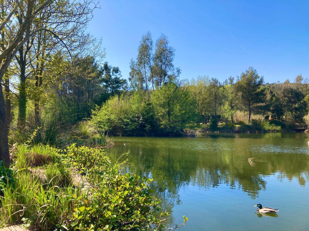 Les Restanques 2268 Glycines Daire Grimaud Dış mekan fotoğraf